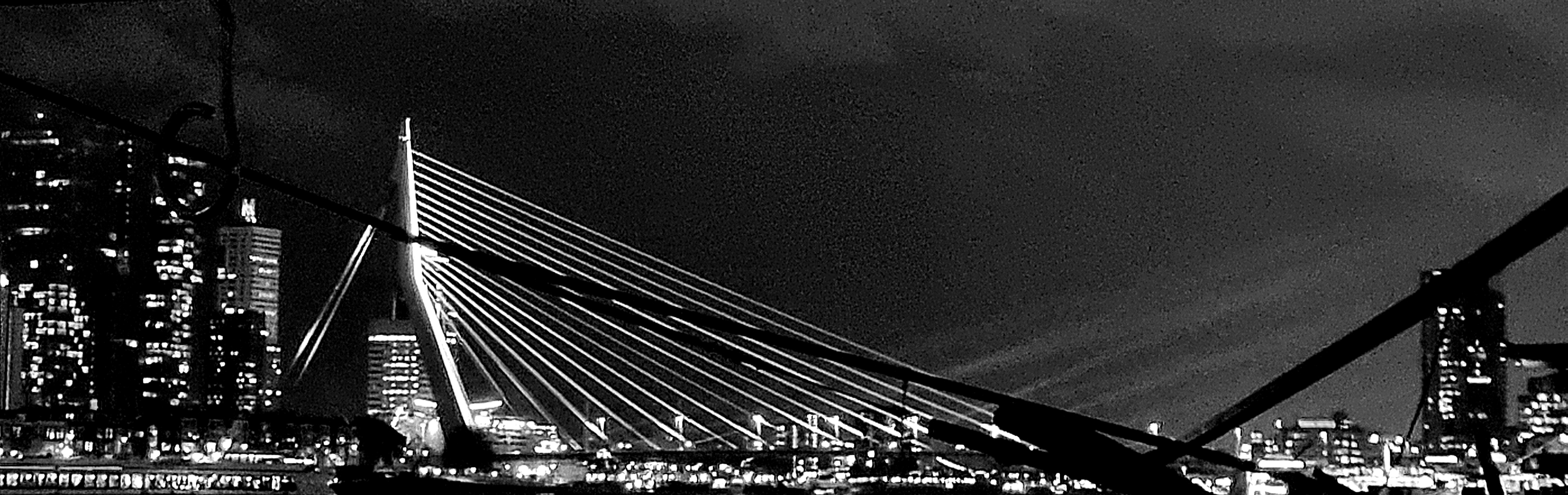 Erasmusbrücke in Rotterdam
